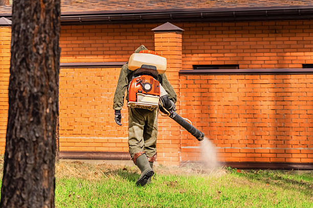 Trusted Termite Control service in East Palo Alto, CA - Nex Pest Control